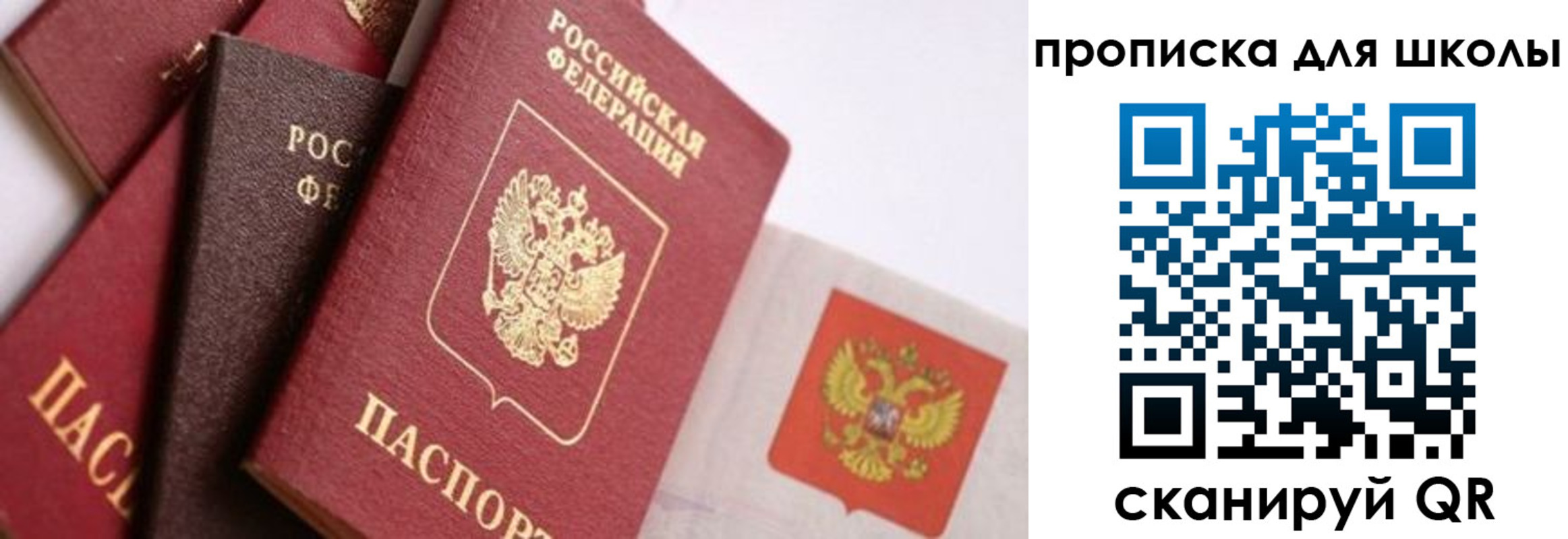прописка поиск в Домодедово